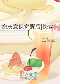 双选题（1v2，兄弟盖饭H）